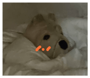 840865255