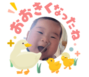 840866006