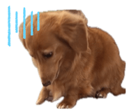 840866145