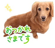 840866147