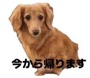 840866149