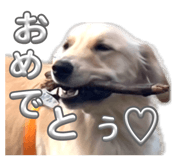 840866160