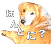 840866163