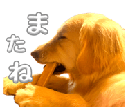 840866171