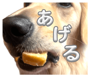 840866172
