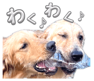 840866174