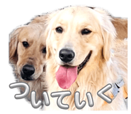 840866177