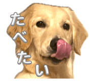 840866178