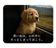 840867244