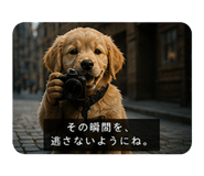 840867245