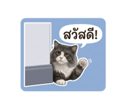 840868624