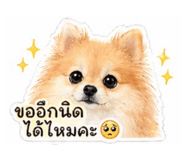 840869339