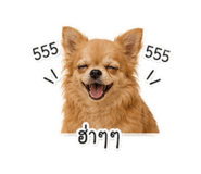 840870931