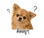 840870941