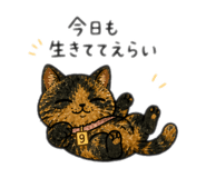 840872081