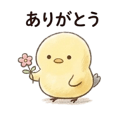 840872162