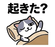 840872450