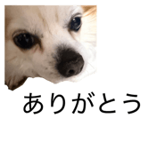 840872500