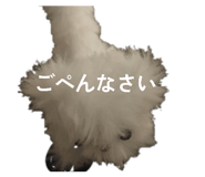 840872539