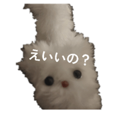 840872540