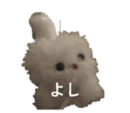 840872541