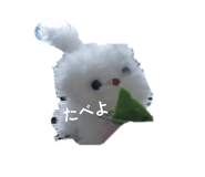 840872544