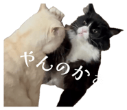 840872904