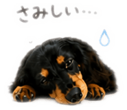 840873194