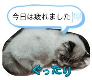 840873380