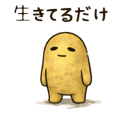 840873686