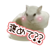 840873938