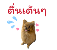 840874055