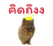 840874061