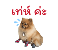 840874062