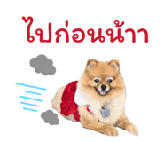 840874063