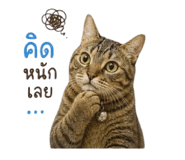 840874467