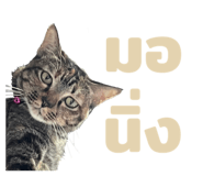 840874811