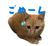 840876467