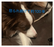 840876966