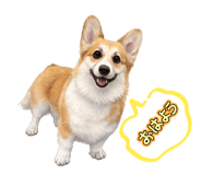 840877137