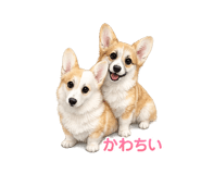 840877146