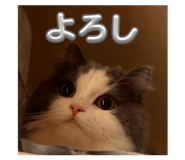 840877336