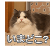 840877340