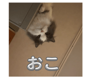 840877342