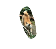 840878257