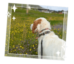 840878850