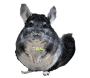 840879178
