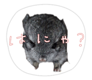 840879186