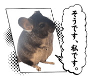 840879187