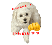 840879655